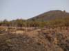 dscf9876_small.jpg