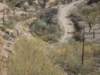 dscf9877_small.jpg