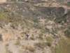 dscf9878_small.jpg