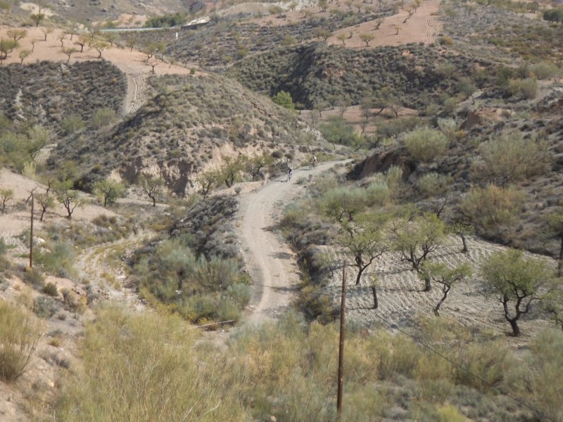 dscf9879.jpg