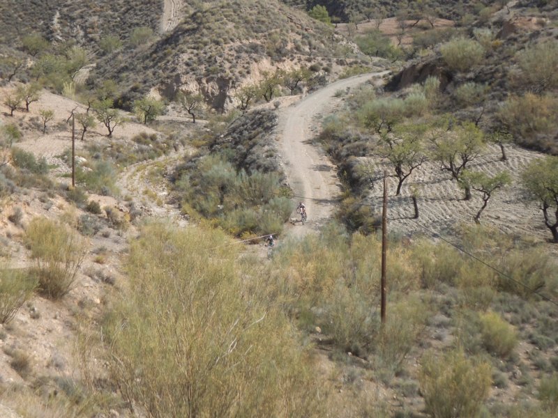 dscf9880.jpg