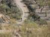 dscf9887_small.jpg