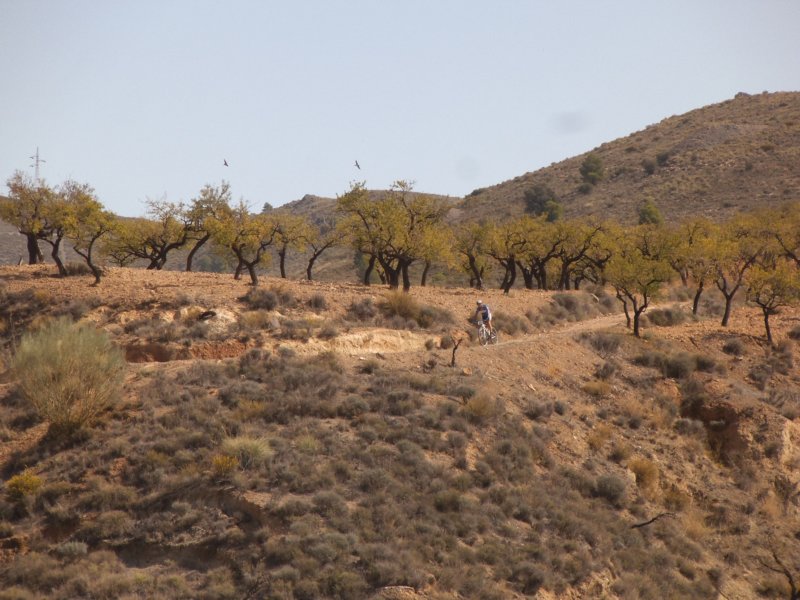 dscf9895.jpg