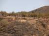 dscf9895_small.jpg