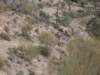 dscf9897_small.jpg