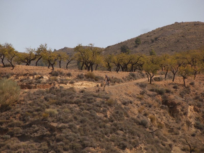 dscf9898.jpg
