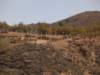 dscf9898_small.jpg