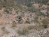 dscf9917_small.jpg