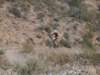 dscf9932_small.jpg