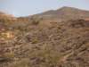 dscf9948_small.jpg