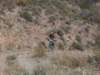 dscf9960_small.jpg